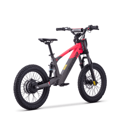 DRAISIENNE ÉLECTRIQUE SEDNA SX 18" ROSE