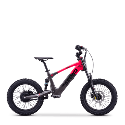 DRAISIENNE ÉLECTRIQUE SEDNA SX 18" ROSE