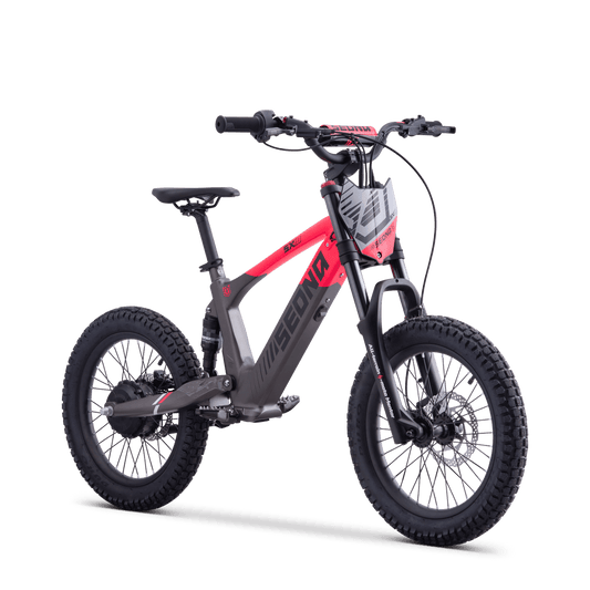 DRAISIENNE ÉLECTRIQUE SEDNA SX 18" ROSE