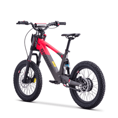 DRAISIENNE ÉLECTRIQUE SEDNA SX 18" ROSE