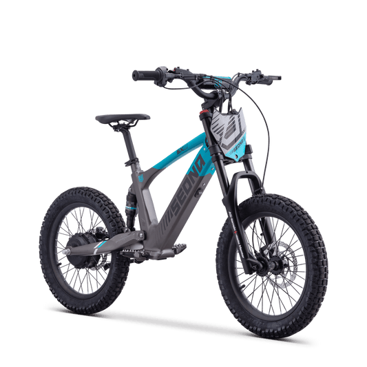 DRAISIENNE ÉLECTRIQUE SEDNA SX 18" BLEU