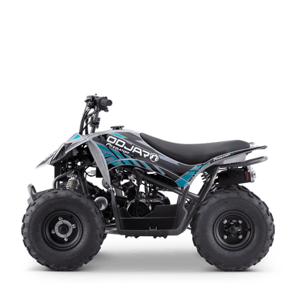 QUAD ODJAR PREDATOR 110CC