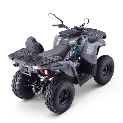 QUAD ODJAR HAMMER 200 R
