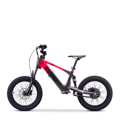 DRAISIENNE ÉLECTRIQUE SEDNA SX 18" ROSE