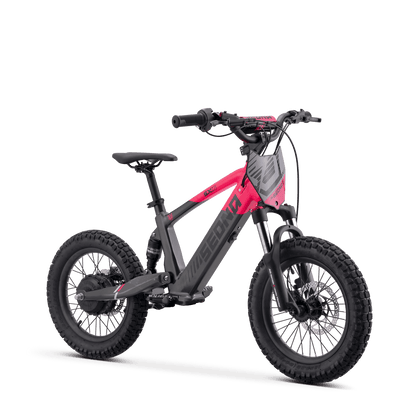 DRAISIENNE ÉLECTRIQUE SEDNA SX 16" ROSE