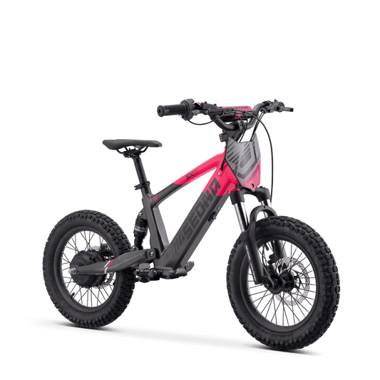 DRAISIENNE ÉLECTRIQUE SEDNA SX 16" ROSE