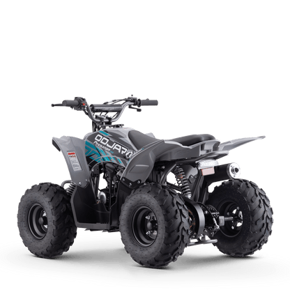 QUAD ODJAR PREDATOR 110CC