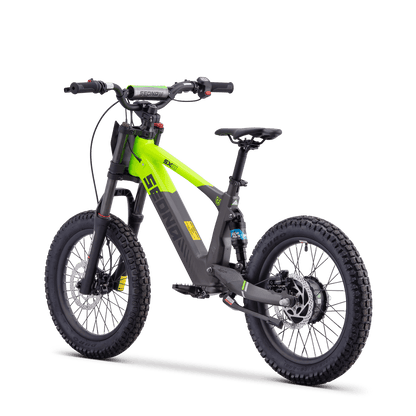 DRAISIENNE ÉLECTRIQUE SEDNA SX 18" VERT