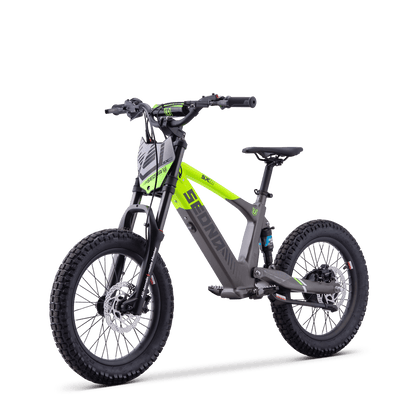 DRAISIENNE ÉLECTRIQUE SEDNA SX 18" VERT