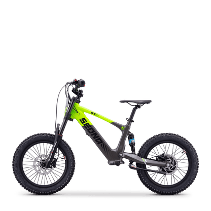 DRAISIENNE ÉLECTRIQUE SEDNA SX 18" VERT