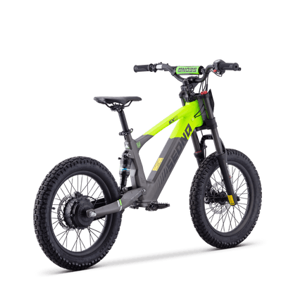 DRAISIENNE ÉLECTRIQUE SEDNA SX 18" VERT