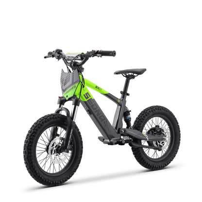 DRAISIENNE ÉLECTRIQUE SEDNA SX 16" VERT