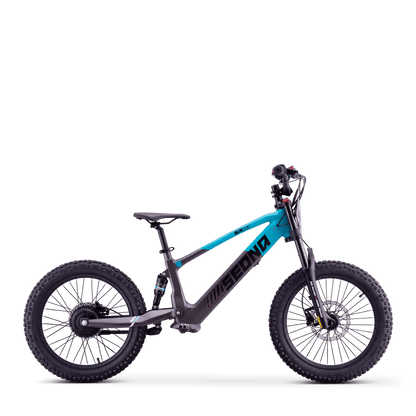 DRAISIENNE ÉLECTRIQUE SEDNA SX 20" BLEU