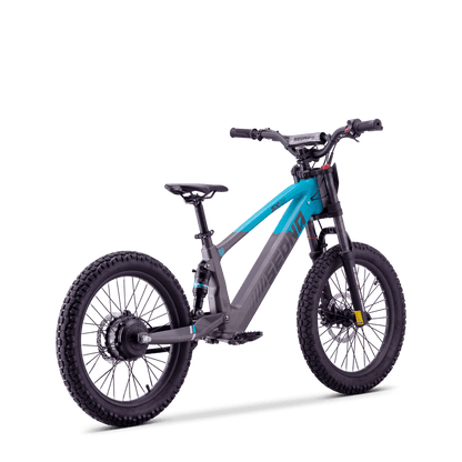 DRAISIENNE ÉLECTRIQUE SEDNA SX 20" BLEU
