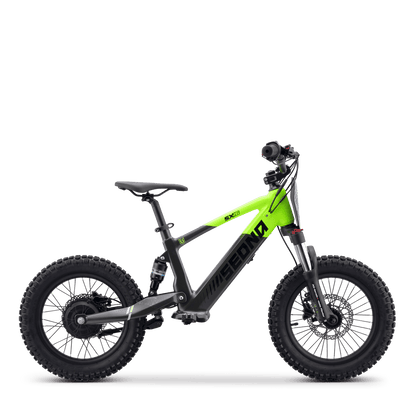 DRAISIENNE ÉLECTRIQUE SEDNA SX 16" VERT