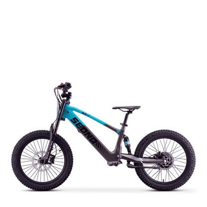 DRAISIENNE ÉLECTRIQUE SEDNA SX 20" BLEU