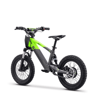 DRAISIENNE ÉLECTRIQUE SEDNA SX 16" VERT