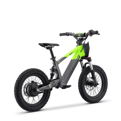 DRAISIENNE ÉLECTRIQUE SEDNA SX 16" VERT