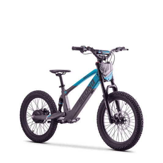 DRAISIENNE ÉLECTRIQUE SEDNA SX 20" BLEU