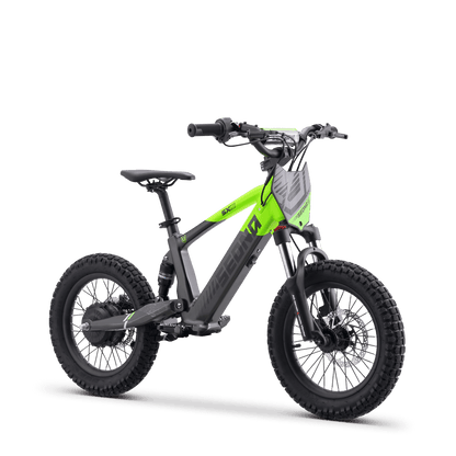 DRAISIENNE ÉLECTRIQUE SEDNA SX 16" VERT