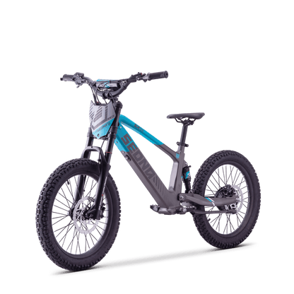DRAISIENNE ÉLECTRIQUE SEDNA SX 20" BLEU