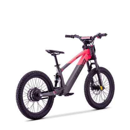 DRAISIENNE ÉLECTRIQUE SEDNA SX 20" ROSE