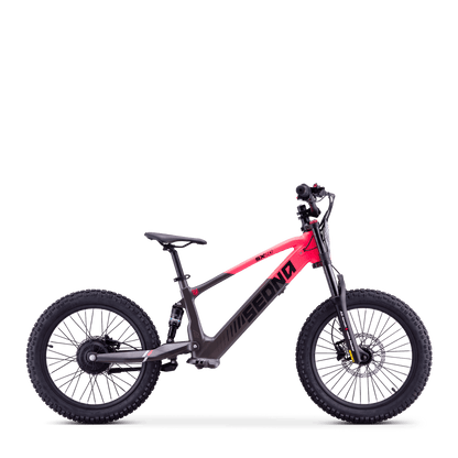 DRAISIENNE ÉLECTRIQUE SEDNA SX 20" ROSE