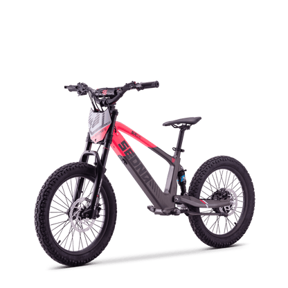 DRAISIENNE ÉLECTRIQUE SEDNA SX 20" ROSE
