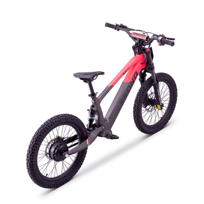 DRAISIENNE ÉLECTRIQUE SEDNA SX 20" ROSE