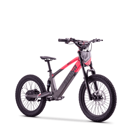 DRAISIENNE ÉLECTRIQUE SEDNA SX 20" ROSE
