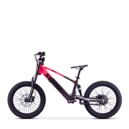 DRAISIENNE ÉLECTRIQUE SEDNA SX 20" ROSE