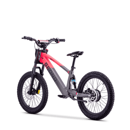 DRAISIENNE ÉLECTRIQUE SEDNA SX 20" ROSE