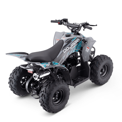 QUAD ODJAR PREDATOR 110CC