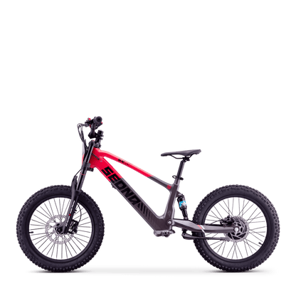 DRAISIENNE ÉLECTRIQUE SEDNA SX 20" ROUGE