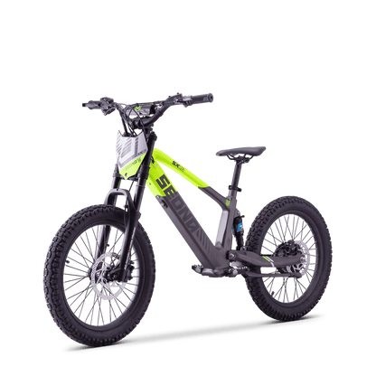 DRAISIENNE ÉLECTRIQUE SEDNA SX 20" VERT