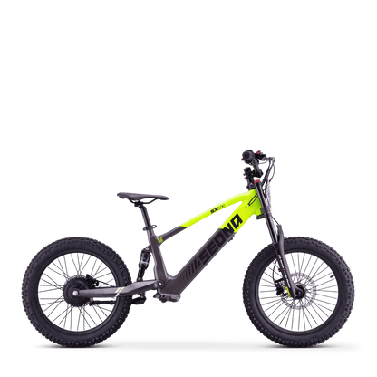 DRAISIENNE ÉLECTRIQUE SEDNA SX 20" VERT