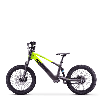 DRAISIENNE ÉLECTRIQUE SEDNA SX 20" VERT