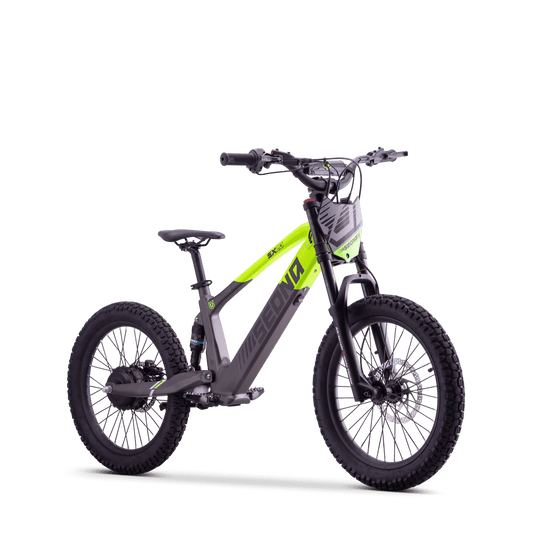 DRAISIENNE ÉLECTRIQUE SEDNA SX 20" VERT