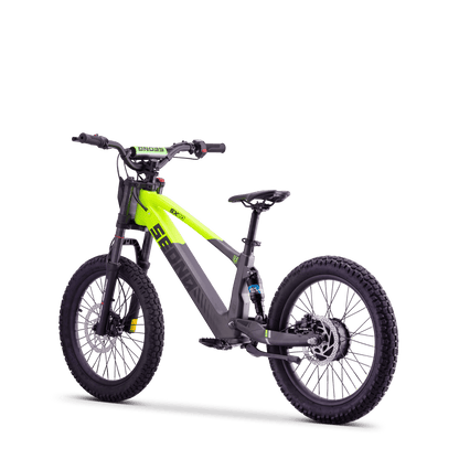 DRAISIENNE ÉLECTRIQUE SEDNA SX 20" VERT
