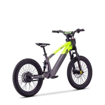 DRAISIENNE ÉLECTRIQUE SEDNA SX 20" VERT
