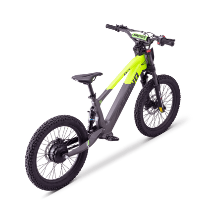 DRAISIENNE ÉLECTRIQUE SEDNA SX 20" VERT