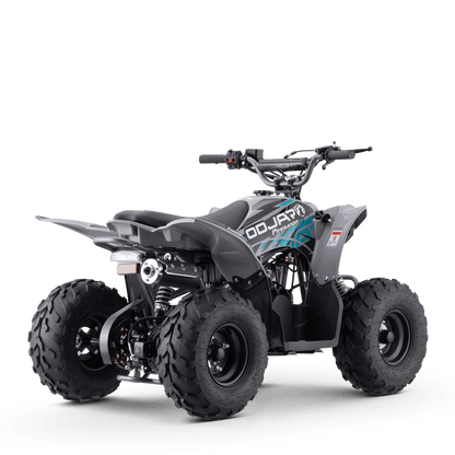 QUAD ODJAR PREDATOR 110CC